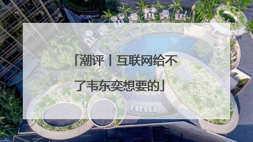 潮评丨互联网给不了韦东奕想要的
