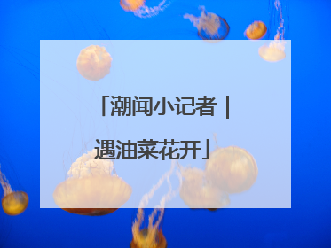 潮闻小记者｜遇油菜花开