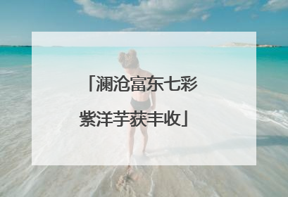 澜沧富东七彩紫洋芋获丰收