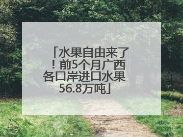 水果自由来了！前5个月广西各口岸进口水果56.8万吨