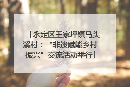 永定区王家坪镇马头溪村：“非遗赋能乡村振兴”交流活动举行