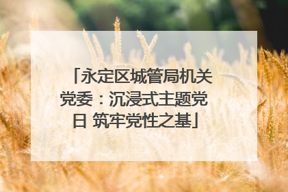 永定区城管局机关党委：沉浸式主题党日 筑牢党性之基