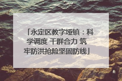 永定区教字垭镇：科学调度 干群合力 筑牢防洪抢险坚固防线
