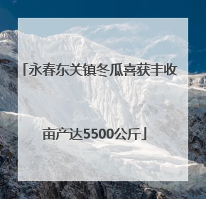 永春东关镇冬瓜喜获丰收 亩产达5500公斤