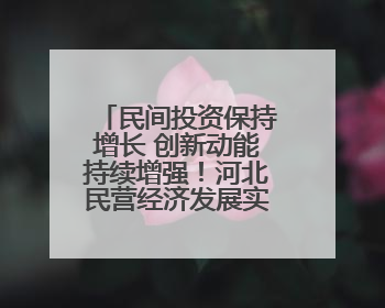 民间投资保持增长 创新动能持续增强！河北民营经济发展实现“量”“质”双提升