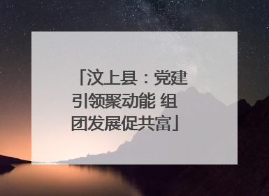 汶上县：党建引领聚动能 组团发展促共富