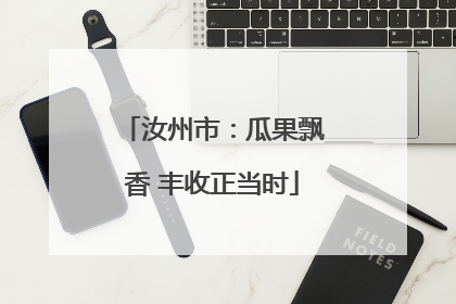 汝州市：瓜果飘香 丰收正当时