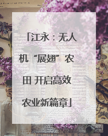 江永：无人机“展翅”农田 开启高效农业新篇章