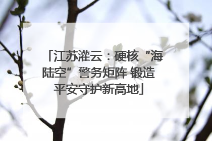 江苏灌云：硬核“海陆空”警务矩阵 锻造平安守护新高地