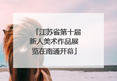 江苏省第十届新人美术作品展览在南通开幕
