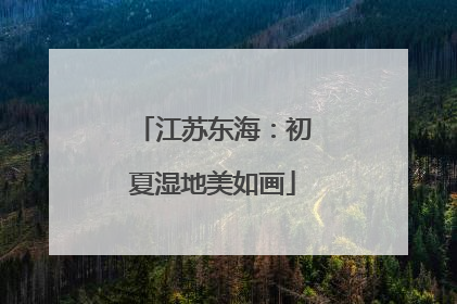 江苏东海：初夏湿地美如画
