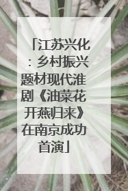 江苏兴化：乡村振兴题材现代淮剧《油菜花开燕归来》在南京成功首演