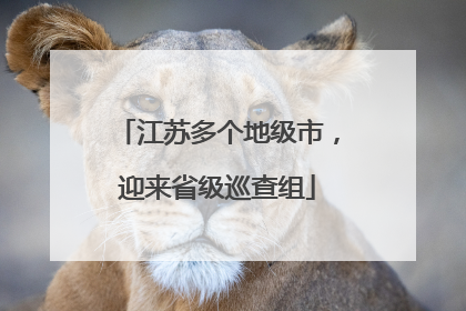 江苏多个地级市，迎来省级巡查组