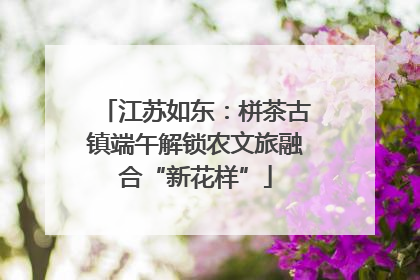 江苏如东：栟茶古镇端午解锁农文旅融合“新花样”