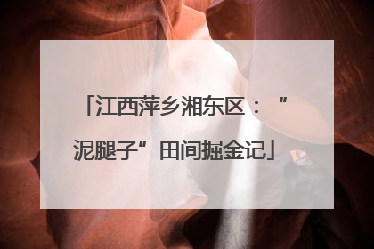 江西萍乡湘东区：“泥腿子”田间掘金记