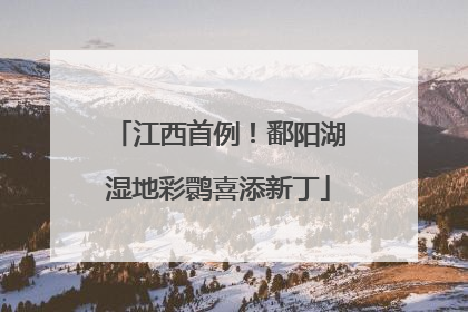 江西首例！鄱阳湖湿地彩鹮喜添新丁