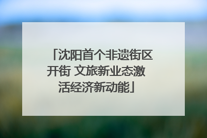沈阳首个非遗街区开街 文旅新业态激活经济新动能