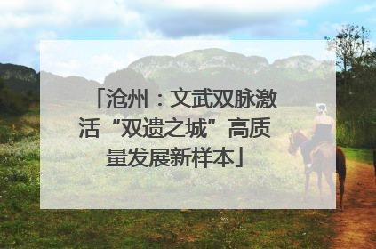 沧州：文武双脉激活“双遗之城”高质量发展新样本