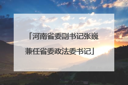 河南省委副书记张巍兼任省委政法委书记