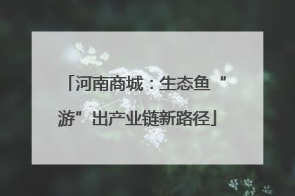 河南商城：生态鱼“游”出产业链新路径