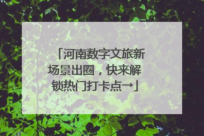 河南数字文旅新场景出圈，快来解锁热门打卡点→