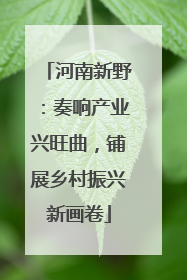 河南新野：奏响产业兴旺曲，铺展乡村振兴新画卷