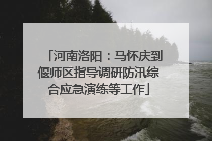 河南洛阳：马怀庆到偃师区指导调研防汛综合应急演练等工作