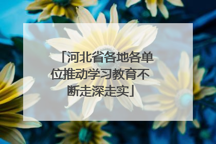 河北省各地各单位推动学习教育不断走深走实