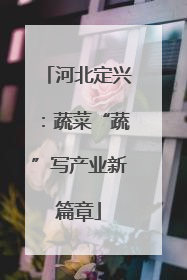 河北定兴：蔬菜“蔬”写产业新篇章