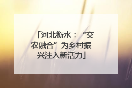 河北衡水：“交农融合”为乡村振兴注入新活力