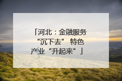 河北：金融服务“沉下去” 特色产业“升起来”