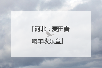 河北：麦田奏响丰收乐章