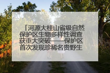 河源大桂山省级自然保护区生物多样性调查获重大突破——保护区首次发现珍稀名贵野生干巴菌与钝尾两头蛇