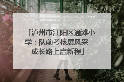 泸州市江阳区通滩小学：队前考核展风采 成长路上启新程