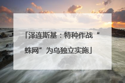 泽连斯基：特种作战“蛛网”为乌独立实施