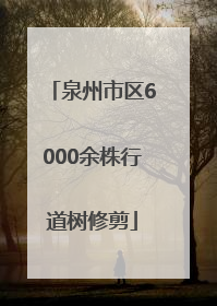 泉州市区6000余株行道树修剪