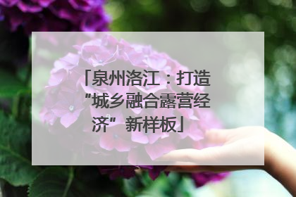 泉州洛江：打造“城乡融合露营经济”新样板