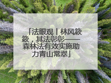 法眼观丨林风簌簌，其法彰彰——森林法有效实施助力青山常翠