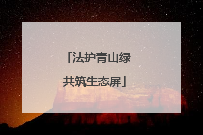 法护青山绿 共筑生态屏