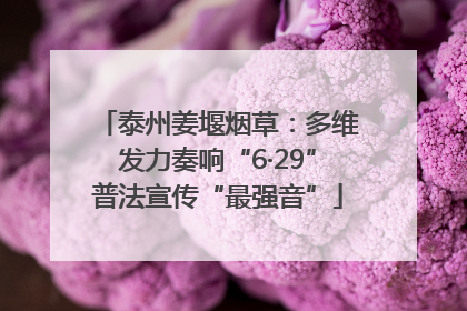 泰州姜堰烟草：多维发力奏响“6·29”普法宣传“最强音”
