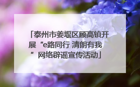 泰州市姜堰区顾高镇开展“e路同行 清朗有我”网络辟谣宣传活动