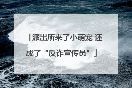 派出所来了小萌宠 还成了“反诈宣传员”