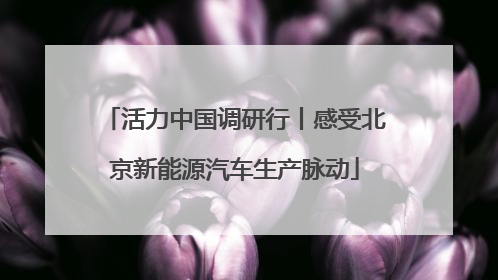 活力中国调研行丨感受北京新能源汽车生产脉动