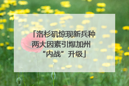 洛杉矶惊现新兵种 两大因素引爆加州“内战”升级