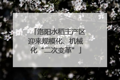 洛阳水稻主产区迎来规模化、机械化“二次变革”
