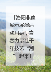 洛阳非遗展示展演活动启幕，青春力量让千年技艺“潮” 起来
