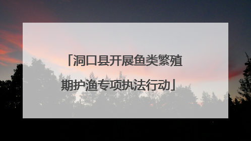 洞口县开展鱼类繁殖期护渔专项执法行动