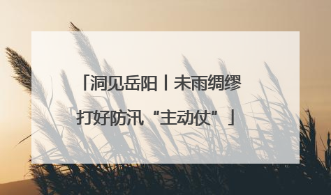 洞见岳阳丨未雨绸缪 打好防汛“主动仗”