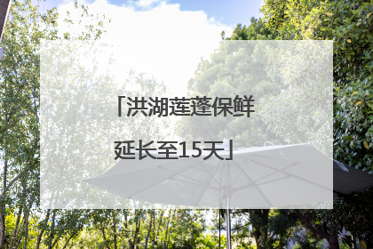 洪湖莲蓬保鲜延长至15天