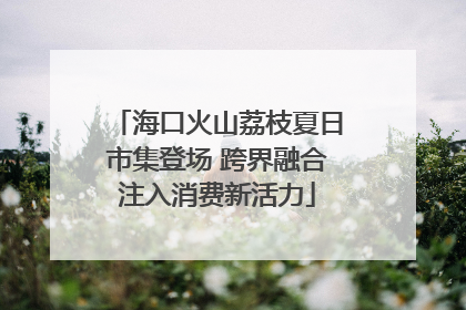 海口火山荔枝夏日市集登场 跨界融合注入消费新活力